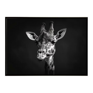 Giraffe �L���� �W���t �T�o���i �A�t���J ���� ���R �l�C�`���[ ���� �A�j�}�� �쐶���� �ʐ^�|�X�^�[ �C���e���A ������� �v�����g�|�X�^�[ �t�H�g �V���v�� ������ ���� �傫��/lh-poster-6460