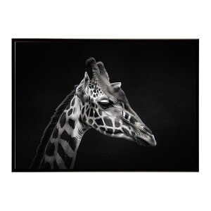 Giraffe �L���� �W���t �T�o���i �A�t���J ���� ���R �l�C�`���[ ���� �A�j�}�� �쐶���� �ʐ^�|�X�^�[ �C���e���A ������� �v�����g�|�X�^�[ �t�H�g �V���v�� ������ ���� �傫��/lh-poster-6461