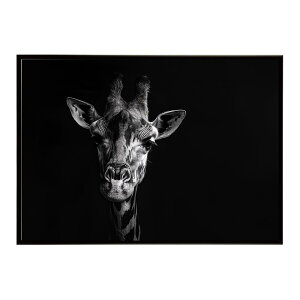 Giraffe �L���� �W���t �T�o���i �A�t���J ���� ���R �l�C�`���[ ���� �A�j�}�� �쐶���� �ʐ^�|�X�^�[ �C���e���A ������� �v�����g�|�X�^�[ �t�H�g �V���v�� ������ ���� �傫��/lh-poster-6463