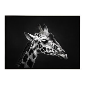 Giraffe �L���� �W���t �T�o���i �A�t���J ���� ���R �l�C�`���[ ���� �A�j�}�� �쐶���� �ʐ^�|�X�^�[ �C���e���A ������� �v�����g�|�X�^�[ �t�H�g �V���v�� ������ ���� �傫��/lh-poster-6464