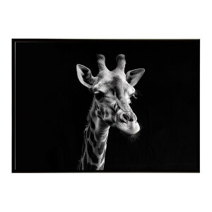 Giraffe �L���� �W���t �T�o���i �A�t���J ���� ���R �l�C�`���[ ���� �A�j�}�� �쐶���� �ʐ^�|�X�^�[ �C���e���A ������� �v�����g�|�X�^�[ �t�H�g �V���v�� ������ ���� �傫��/lh-poster-6465