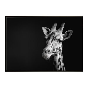 Giraffe �L���� �W���t �T�o���i �A�t���J ���� ���R �l�C�`���[ ���� �A�j�}�� �쐶���� �ʐ^�|�X�^�[ �C���e���A ������� �v�����g�|�X�^�[ �t�H�g �V���v�� ������ ���� �傫��/lh-poster-6466