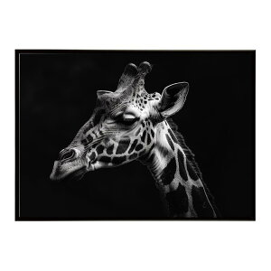 Giraffe �L���� �W���t �T�o���i �A�t���J ���� ���R �l�C�`���[ ���� �A�j�}�� �쐶���� �ʐ^�|�X�^�[ �C���e���A ������� �v�����g�|�X�^�[ �t�H�g �V���v�� ������ ���� �傫��/lh-poster-6474