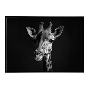 Giraffe �L���� �W���t �T�o���i �A�t���J ���� ���R �l�C�`���[ ���� �A�j�}�� �쐶���� �ʐ^�|�X�^�[ �C���e���A ������� �v�����g�|�X�^�[ �t�H�g �V���v�� ������ ���� �傫��/lh-poster-6475