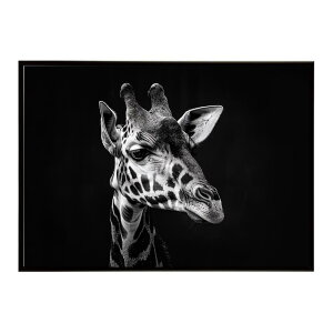 Giraffe �L���� �W���t �T�o���i �A�t���J ���� ���R �l�C�`���[ ���� �A�j�}�� �쐶���� �ʐ^�|�X�^�[ �C���e���A ������� �v�����g�|�X�^�[ �t�H�g �V���v�� ������ ���� �傫��/lh-poster-6476