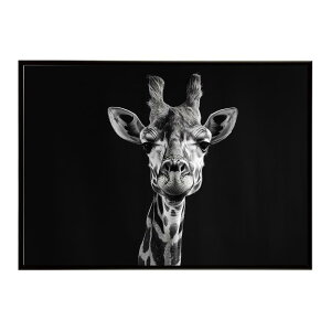 Giraffe �L���� �W���t �T�o���i �A�t���J ���� ���R �l�C�`���[ ���� �A�j�}�� �쐶���� �ʐ^�|�X�^�[ �C���e���A ������� �v�����g�|�X�^�[ �t�H�g �V���v�� ������ ���� �傫��/lh-poster-6477