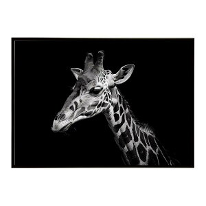 Giraffe �L���� �W���t �T�o���i �A�t���J ���� ���R �l�C�`���[ ���� �A�j�}�� �쐶���� �ʐ^�|�X�^�[ �C���e���A ������� �v�����g�|�X�^�[ �t�H�g �V���v�� ������ ���� �傫��/lh-poster-6478