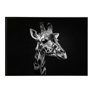 Giraffe �L���� �W���t �T�o���i �A�t���J ���� ���R �l�C�`���[ ���� �A�j�}�� �쐶���� �ʐ^�|�X�^�[ �C���e���A ������� �v�����g�|�X�^�[ �t�H�g �V���v�� ������ ���� �傫��/lh-poster-6479