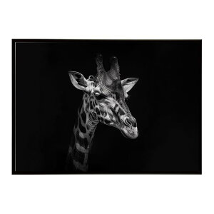 Giraffe �L���� �W���t �T�o���i �A�t���J ���� ���R �l�C�`���[ ���� �A�j�}�� �쐶���� �ʐ^�|�X�^�[ �C���e���A ������� �v�����g�|�X�^�[ �t�H�g �V���v�� ������ ���� �傫��/lh-poster-6483