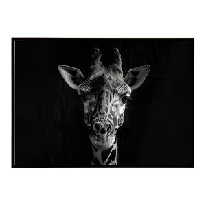 Giraffe �L���� �W���t �T�o���i �A�t���J ���� ���R �l�C�`���[ ���� �A�j�}�� �쐶���� �ʐ^�|�X�^�[ �C���e���A ������� �v�����g�|�X�^�[ �t�H�g �V���v�� ������ ���� �傫��/lh-poster-6484