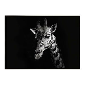 Giraffe �L���� �W���t �T�o���i �A�t���J ���� ���R �l�C�`���[ ���� �A�j�}�� �쐶���� �ʐ^�|�X�^�[ �C���e���A ������� �v�����g�|�X�^�[ �t�H�g �V���v�� ������ ���� �傫��/lh-poster-6488