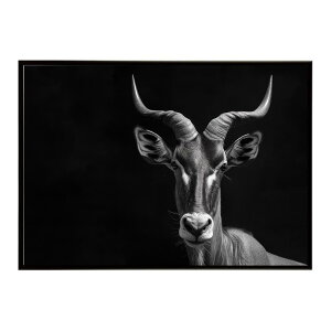 Hartebeest �n�[�e�r�[�X�g �A���e���[�v �T�o���i �A�t���J ���� ���R �l�C�`���[ ���� �A�j�}�� �쐶���� �ʐ^ ���|�X�^�[ �C���e���A ������� �v�����g�|�X�^�[ �t�H�g �V���v�� ������ ��