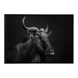 Hartebeest �n�[�e�r�[�X�g �A���e���[�v �T�o���i �A�t���J ���� ���R �l�C�`���[ ���� �A�j�}�� �쐶���� �ʐ^ ���|�X�^�[ �C���e���A ������� �v�����g�|�X�^�[ �t�H�g �V���v�� ������ ��