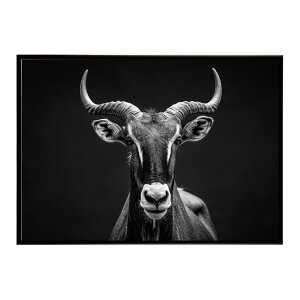Hartebeest �n�[�e�r�[�X�g �A���e���[�v �T�o���i �A�t���J ���� ���R �l�C�`���[ ���� �A�j�}�� �쐶���� �ʐ^ ���|�X�^�[ �C���e���A ������� �v�����g�|�X�^�[ �t�H�g �V���v�� ������ ��