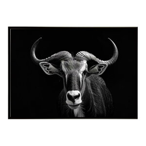 Hartebeest �n�[�e�r�[�X�g �A���e���[�v �T�o���i �A�t���J ���� ���R �l�C�`���[ ���� �A�j�}�� �쐶���� �ʐ^ ���|�X�^�[ �C���e���A ������� �v�����g�|�X�^�[ �t�H�g �V���v�� ������ ��