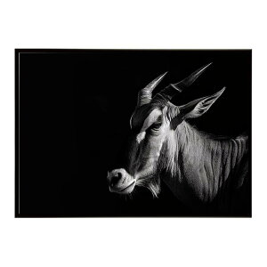 Hartebeest �n�[�e�r�[�X�g �A���e���[�v �T�o���i �A�t���J ���� ���R �l�C�`���[ ���� �A�j�}�� �쐶���� �ʐ^ ���|�X�^�[ �C���e���A ������� �v�����g�|�X�^�[ �t�H�g �V���v�� ������ ��