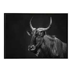 Hartebeest �n�[�e�r�[�X�g �A���e���[�v �T�o���i �A�t���J ���� ���R �l�C�`���[ ���� �A�j�}�� �쐶���� �ʐ^ ���|�X�^�[ �C���e���A ������� �v�����g�|�X�^�[ �t�H�g �V���v�� ������ ��