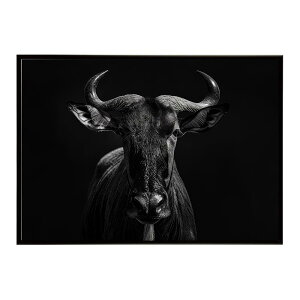 Hartebeest �n�[�e�r�[�X�g �A���e���[�v �T�o���i �A�t���J ���� ���R �l�C�`���[ ���� �A�j�}�� �쐶���� �ʐ^ ���|�X�^�[ �C���e���A ������� �v�����g�|�X�^�[ �t�H�g �V���v�� ������ ��