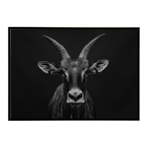 Hartebeest �n�[�e�r�[�X�g �A���e���[�v �T�o���i �A�t���J ���� ���R �l�C�`���[ ���� �A�j�}�� �쐶���� �ʐ^ ���|�X�^�[ �C���e���A ������� �v�����g�|�X�^�[ �t�H�g �V���v�� ������ ��