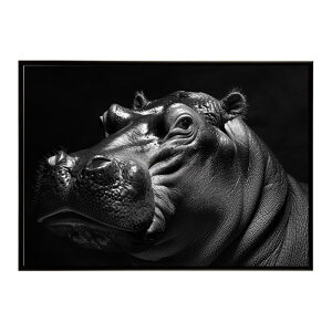 Hippopotamus �J�o �q�|�|�^�}�X �T�o���i �A�t���J ���� ���R �l�C�`���[ ���� �A�j�}�� �쐶���� �ʐ^�|�X�^�[ �C���e���A ������� �v�����g�|�X�^�[ �t�H�g �V���v�� ������ ���� �傫��/lh-po