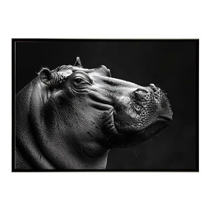 Hippopotamus �J�o �q�|�|�^�}�X �T�o���i �A�t���J ���� ���R �l�C�`���[ ���� �A�j�}�� �쐶���� �ʐ^�|�X�^�[ �C���e���A ������� �v�����g�|�X�^�[ �t�H�g �V���v�� ������ ���� �傫��/lh-po