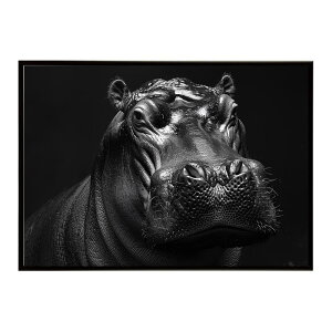 Hippopotamus �J�o �q�|�|�^�}�X �T�o���i �A�t���J ���� ���R �l�C�`���[ ���� �A�j�}�� �쐶���� �ʐ^�|�X�^�[ �C���e���A ������� �v�����g�|�X�^�[ �t�H�g �V���v�� ������ ���� �傫��/lh-po