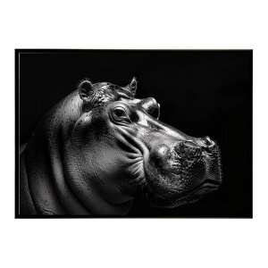 Hippopotamus �J�o �q�|�|�^�}�X �T�o���i �A�t���J ���� ���R �l�C�`���[ ���� �A�j�}�� �쐶���� �ʐ^�|�X�^�[ �C���e���A ������� �v�����g�|�X�^�[ �t�H�g �V���v�� ������ ���� �傫��/lh-po