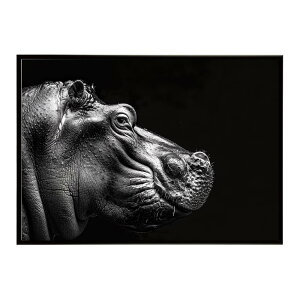 Hippopotamus �J�o �q�|�|�^�}�X �T�o���i �A�t���J ���� ���R �l�C�`���[ ���� �A�j�}�� �쐶���� �ʐ^�|�X�^�[ �C���e���A ������� �v�����g�|�X�^�[ �t�H�g �V���v�� ������ ���� �傫��/lh-po