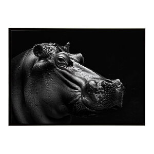 Hippopotamus �J�o �q�|�|�^�}�X �T�o���i �A�t���J ���� ���R �l�C�`���[ ���� �A�j�}�� �쐶���� �ʐ^�|�X�^�[ �C���e���A ������� �v�����g�|�X�^�[ �t�H�g �V���v�� ������ ���� �傫��/lh-po