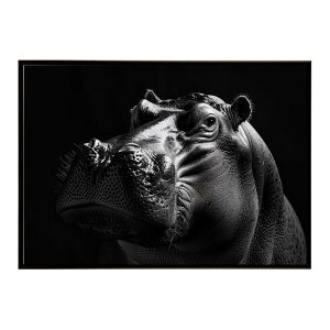 Hippopotamus �J�o �q�|�|�^�}�X �T�o���i �A�t���J ���� ���R �l�C�`���[ ���� �A�j�}�� �쐶���� �ʐ^�|�X�^�[ �C���e���A ������� �v�����g�|�X�^�[ �t�H�g �V���v�� ������ ���� �傫��/lh-po