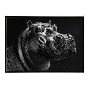 Hippopotamus �J�o �q�|�|�^�}�X �T�o���i �A�t���J ���� ���R �l�C�`���[ ���� �A�j�}�� �쐶���� �ʐ^�|�X�^�[ �C���e���A ������� �v�����g�|�X�^�[ �t�H�g �V���v�� ������ ���� �傫��/lh-po