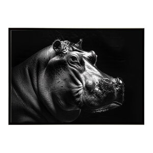 Hippopotamus �J�o �q�|�|�^�}�X �T�o���i �A�t���J ���� ���R �l�C�`���[ ���� �A�j�}�� �쐶���� �ʐ^�|�X�^�[ �C���e���A ������� �v�����g�|�X�^�[ �t�H�g �V���v�� ������ ���� �傫��/lh-po