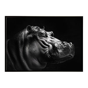 Hippopotamus �J�o �q�|�|�^�}�X �T�o���i �A�t���J ���� ���R �l�C�`���[ ���� �A�j�}�� �쐶���� �ʐ^�|�X�^�[ �C���e���A ������� �v�����g�|�X�^�[ �t�H�g �V���v�� ������ ���� �傫��/lh-po