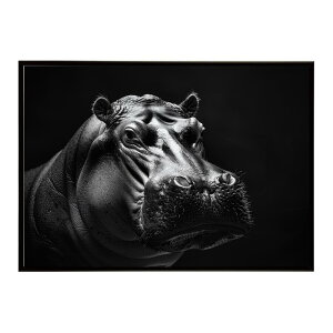Hippopotamus �J�o �q�|�|�^�}�X �T�o���i �A�t���J ���� ���R �l�C�`���[ ���� �A�j�}�� �쐶���� �ʐ^�|�X�^�[ �C���e���A ������� �v�����g�|�X�^�[ �t�H�g �V���v�� ������ ���� �傫��/lh-po