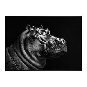 Hippopotamus �J�o �q�|�|�^�}�X �T�o���i �A�t���J ���� ���R �l�C�`���[ ���� �A�j�}�� �쐶���� �ʐ^�|�X�^�[ �C���e���A ������� �v�����g�|�X�^�[ �t�H�g �V���v�� ������ ���� �傫��/lh-po