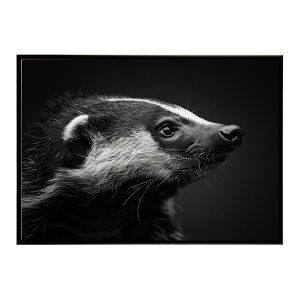 Hartebeest �n�[�e�r�[�X�g �A���e���[�v �T�o���i �A�t���J ���� ���R �l�C�`���[ ���� �A�j�}�� �쐶���� �ʐ^ ���|�X�^�[ �C���e���A ������� �v�����g�|�X�^�[ �t�H�g �V���v�� ������ ��