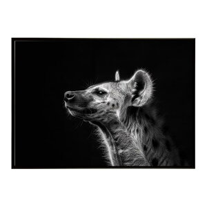 Hyena �n�C�G�i �q�q �T�o���i �A�t���J ���� ���R �l�C�`���[ ���� �A�j�}�� �쐶���� �ʐ^ �� �R���[�e�|�X�^�[ �C���e���A ������� �v�����g�|�X�^�[ �t�H�g �V���v�� ������ ���� �傫��/l