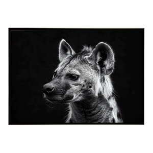 Hyena �n�C�G�i �q�q �T�o���i �A�t���J ���� ���R �l�C�`���[ ���� �A�j�}�� �쐶���� �ʐ^ �� �R���[�e�|�X�^�[ �C���e���A ������� �v�����g�|�X�^�[ �t�H�g �V���v�� ������ ���� �傫��/l