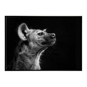 Hyena �n�C�G�i �q�q �T�o���i �A�t���J ���� ���R �l�C�`���[ ���� �A�j�}�� �쐶���� �ʐ^ �� �R���[�e�|�X�^�[ �C���e���A ������� �v�����g�|�X�^�[ �t�H�g �V���v�� ������ ���� �傫��/l