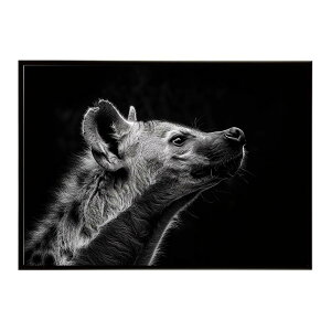 Hyena �n�C�G�i �q�q �T�o���i �A�t���J ���� ���R �l�C�`���[ ���� �A�j�}�� �쐶���� �ʐ^ �� �R���[�e�|�X�^�[ �C���e���A ������� �v�����g�|�X�^�[ �t�H�g �V���v�� ������ ���� �傫��/l
