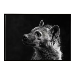 Hyena �n�C�G�i �q�q �T�o���i �A�t���J ���� ���R �l�C�`���[ ���� �A�j�}�� �쐶���� �ʐ^ �� �R���[�e�|�X�^�[ �C���e���A ������� �v�����g�|�X�^�[ �t�H�g �V���v�� ������ ���� �傫��/l