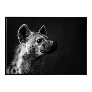 Hyena �n�C�G�i �q�q �T�o���i �A�t���J ���� ���R �l�C�`���[ ���� �A�j�}�� �쐶���� �ʐ^ �� �R���[�e�|�X�^�[ �C���e���A ������� �v�����g�|�X�^�[ �t�H�g �V���v�� ������ ���� �傫��/l