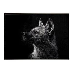 Hyena �n�C�G�i �q�q �T�o���i �A�t���J ���� ���R �l�C�`���[ ���� �A�j�}�� �쐶���� �ʐ^ �� �R���[�e�|�X�^�[ �C���e���A ������� �v�����g�|�X�^�[ �t�H�g �V���v�� ������ ���� �傫��/l
