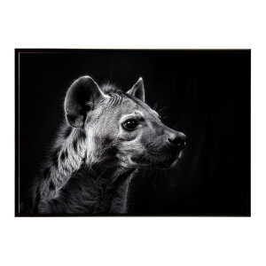 Hyena �n�C�G�i �q�q �T�o���i �A�t���J ���� ���R �l�C�`���[ ���� �A�j�}�� �쐶���� �ʐ^ �� �R���[�e�|�X�^�[ �C���e���A ������� �v�����g�|�X�^�[ �t�H�g �V���v�� ������ ���� �傫��/l