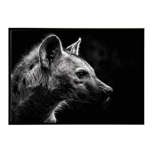 Hyena �n�C�G�i �q�q �T�o���i �A�t���J ���� ���R �l�C�`���[ ���� �A�j�}�� �쐶���� �ʐ^ �� �R���[�e�|�X�^�[ �C���e���A ������� �v�����g�|�X�^�[ �t�H�g �V���v�� ������ ���� �傫��/l