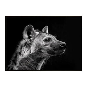 Hyena �n�C�G�i �q�q �T�o���i �A�t���J ���� ���R �l�C�`���[ ���� �A�j�}�� �쐶���� �ʐ^ �� �R���[�e�|�X�^�[ �C���e���A ������� �v�����g�|�X�^�[ �t�H�g �V���v�� ������ ���� �傫��/l