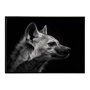 Hyena �n�C�G�i �q�q �T�o���i �A�t���J ���� ���R �l�C�`���[ ���� �A�j�}�� �쐶���� �ʐ^ �� �R���[�e�|�X�^�[ �C���e���A ������� �v�����g�|�X�^�[ �t�H�g �V���v�� ������ ���� �傫��/l
