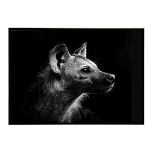 Hyena �n�C�G�i �q�q �T�o���i �A�t���J ���� ���R �l�C�`���[ ���� �A�j�}�� �쐶���� �ʐ^ �� �R���[�e�|�X�^�[ �C���e���A ������� �v�����g�|�X�^�[ �t�H�g �V���v�� ������ ���� �傫��/l
