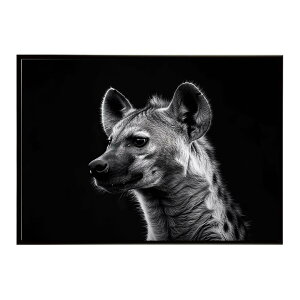 Hyena �n�C�G�i �q�q �T�o���i �A�t���J ���� ���R �l�C�`���[ ���� �A�j�}�� �쐶���� �ʐ^ �� �R���[�e�|�X�^�[ �C���e���A ������� �v�����g�|�X�^�[ �t�H�g �V���v�� ������ ���� �傫��/l