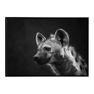 Hyena �n�C�G�i �q�q �T�o���i �A�t���J ���� ���R �l�C�`���[ ���� �A�j�}�� �쐶���� �ʐ^ �� �R���[�e�|�X�^�[ �C���e���A ������� �v�����g�|�X�^�[ �t�H�g �V���v�� ������ ���� �傫��/l